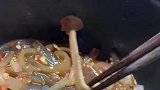 蘑菇：别吃我别吃我现实版的菇勇者