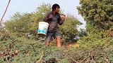 小伙发现地上有个奇怪的洞口，钻进去就开始拽，不料收获了惊喜