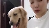 养只狗有什么不好的，我不喜欢吃的都给它，还不浪费