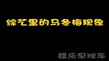 综艺里那些马冬梅现象，我笑到头疼