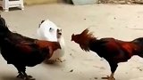 看热闹的挨揍了