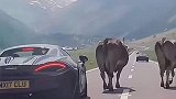 当小牛遇上大牛牛，搞没搞清楚你的定位