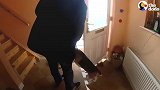 妈妈怀孕时，狗狗就每天陪着娃，宝宝出生，狗狗就像见到亲人一样