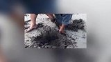 男子沙滩上挖洞挖到一物高兴坏了
