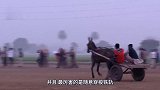 火车飞速驶来，大爷却赶着驴车不紧不慢，网友你大爷就是你大爷
