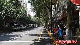 品尝东北特色砂锅狮子头，喝酒吃肉特别爽，这个价格实惠吗