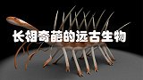 这5种远古生物，是公认长相最奇葩的物种，你觉得哪一个最奇葩？