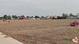 河南农村生活——秋播小麦