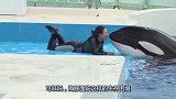 漂亮的管理员陪伴海豚玩，海豚竟然主动亲吻管理员，画面令人暖心