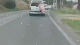 梦想还是要有的，万一实现了呢，前车上演现实版猪猪逃亡”