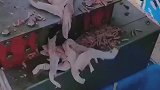 原来无骨鸡爪是这样制作的