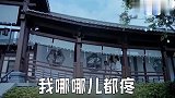 陈情令魏婴蓝湛“夫妻式”相处,你绝对没有见过的名场面,鬼畜