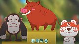 银背猩猩跟野猪单挑，谁会比较厉害？