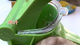 猫王：解锁石榴的神仙吃法，冰淇淋口感，一次能吃一冰箱解锁石榴新吃法 会做饭的猫 冻石榴