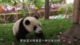 原来你是这样的国宝
