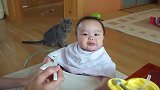 小宝宝吃新口味辅食，表情销魂不敢相信，妈妈你到底给我吃了什么