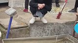 女子坐月子娘家送来了几条鱼