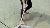 有没有友友认识的这是什么！水母？太岁？