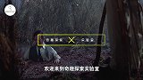 深陷流沙有多可怕？老外自制流沙池亲测，场面一度失控