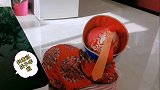 比熊赚点肉干实属不易，还得卖萌