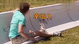 狗子想提前上岸，却被铲屎官坑狗子我太难了