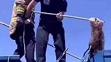 小浣熊最后的倔强，没有人可以让我下车