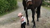 15个月大婴儿牵着马在农场散步