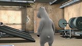 贝肯熊：倒霉熊独闯健身房！健身器材给他上了一课