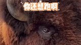 这件事你是真的摊上了啊
