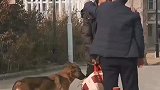 哥俩喝多了在路边互诉衷肠，狗子趁火打劫偷吃