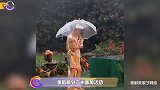“雨神”萧敬腾显神威，开口唱歌秒下大雨，自嘲功力强向观众道歉