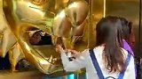 喝过老虎喷火奶茶，豹子喷火还是头一次见，这不会有危险吧