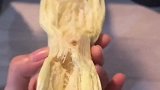 这个甘蔗吃的是相当炸裂的