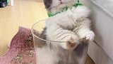吃完的薯片袋子不要扔！