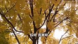 又被嫌弃了，这个日子已经过不下去了