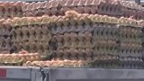 高温天气送鸡蛋，到地儿变成了一车鸡
