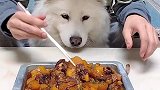 狗：你能不能给我一口