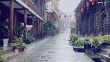 本是青灯不归客，