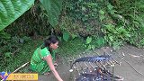 野外美食：小妹河边烤大鲶鱼，一觉醒来，结果发现烤鱼被人偷吃了
