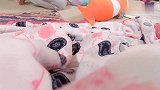 一早起来，爸爸挨个帮五胞胎换衣服尿布，带5个娃真的太不容易了