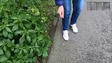 一点不认生的流浪猫，见人就往怀里钻，甜化了！