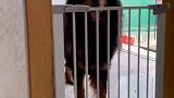 本想给他上一课，没想到最后给我上了一课