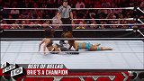 WWE-18年-贝拉姐妹十大精彩时刻 布瑞强吻AJ李-专题