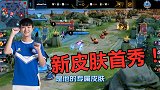 王者荣耀猫神：貂蝉Fmvp新皮肤首秀！残血三杀，提前使用皮肤