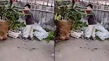 孩子静悄悄，必定在作妖，去天台一看，瞬间笑喷了！