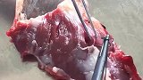 医学生的日常，肉买回家先不急着下锅，拿来练练手在下锅也不迟！