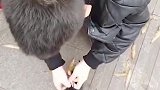 笑死人不偿命童言无忌，第二个太扎心了吧