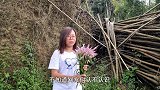 农村路边常见的野花，老乡靠种它日收入1000元，涨见识