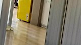 主人在房间里叫狗狗，狗狗竟然三过家门而不入