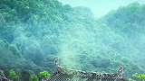 出路出路，走出去了，总是会有路的，登上山顶就能看到那边的风光